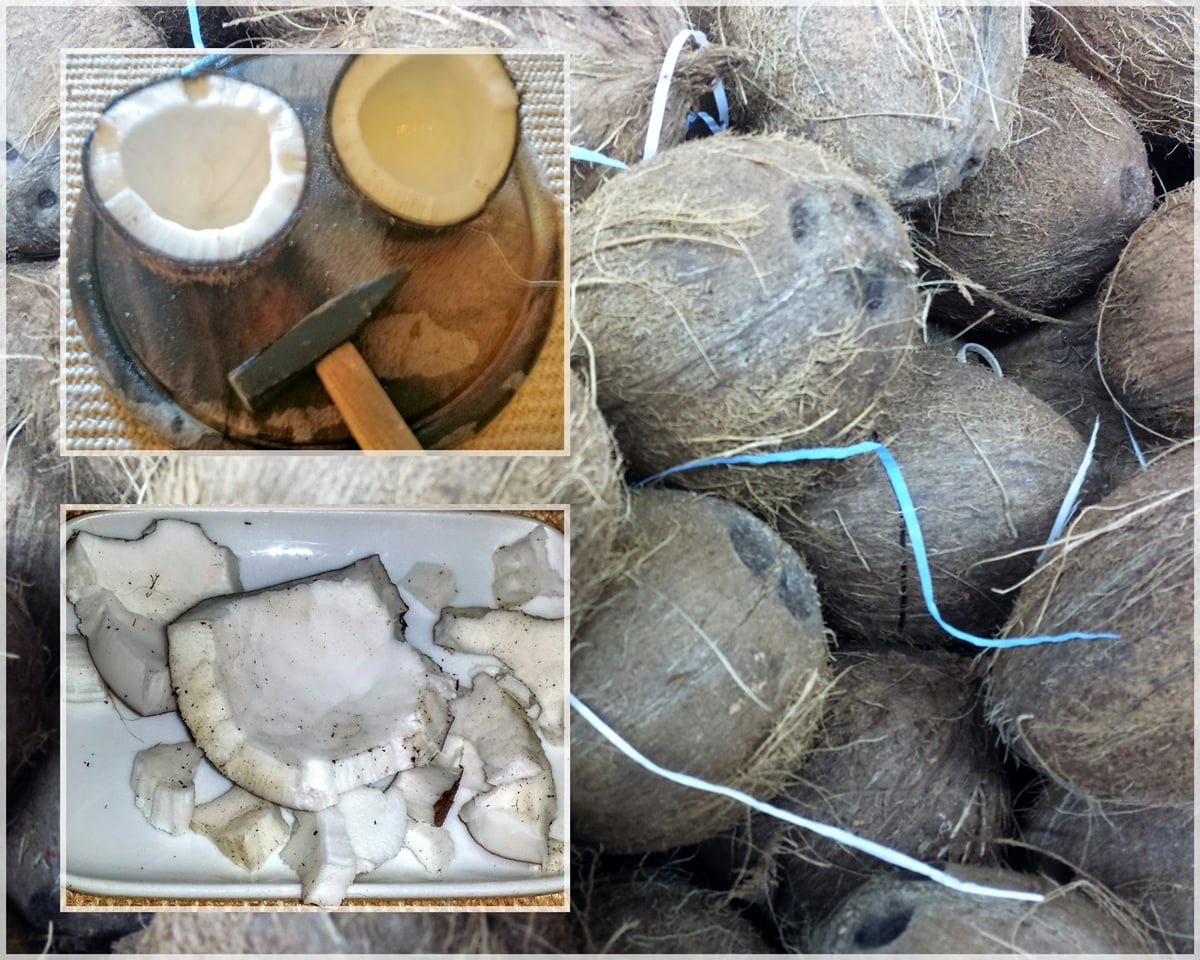 Kokosnuss öffnen und Fruchtfleisch herauslösen