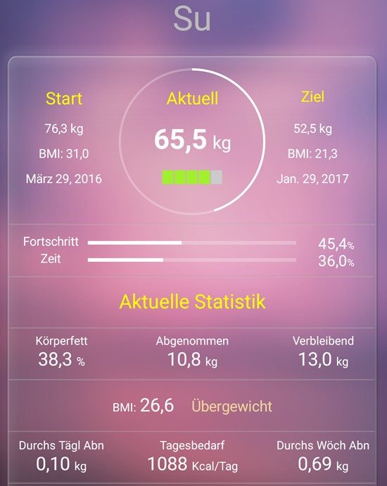 Screenshot Gewichts-App