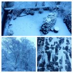 schnee-wuppertal-2-januar-2017-collage