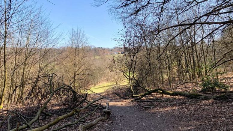eingang-zu-waldwiese-maerz-2021
